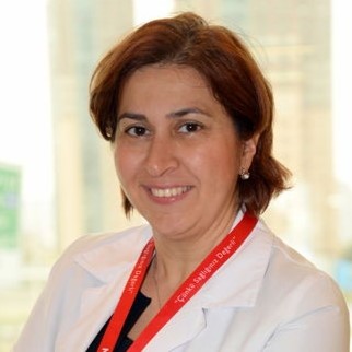 Feryal GÜN SOYSAL